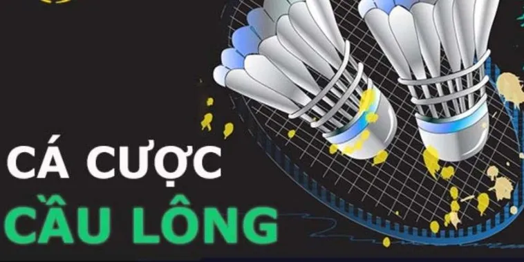 Bí Quyết Chơi Cá Cược Cầu Lông WinVN Thắng Lớn Đỉnh Cao Hấp Dẫn