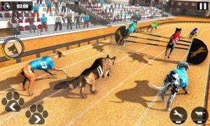 Bí Kíp Thắng Đậm Game Nhanh Đua Chó Tại WinVN Giải Trí Đỉnh Cao