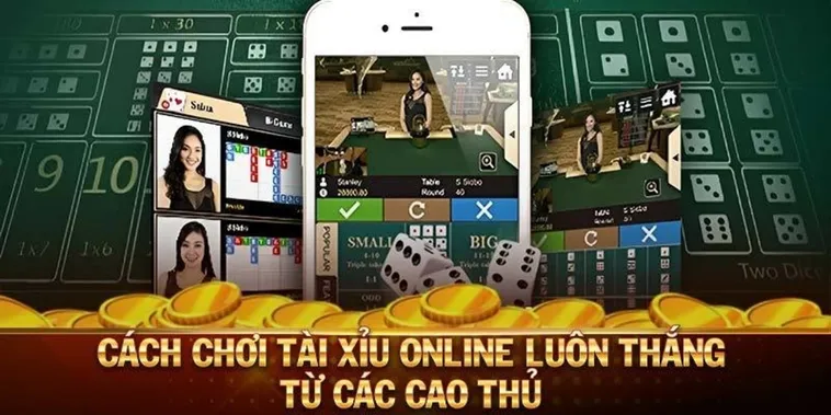 Hướng Dẫn Chơi Tài Xỉu Nhà Cái WinVN Chuẩn Xác Thắng Lớn Mỗi Ngày
