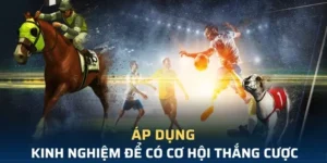 Đột Phá Với Cá Cược Thể Thao Ảo WinVN Kịch Tính Không Thể Bỏ Lỡ